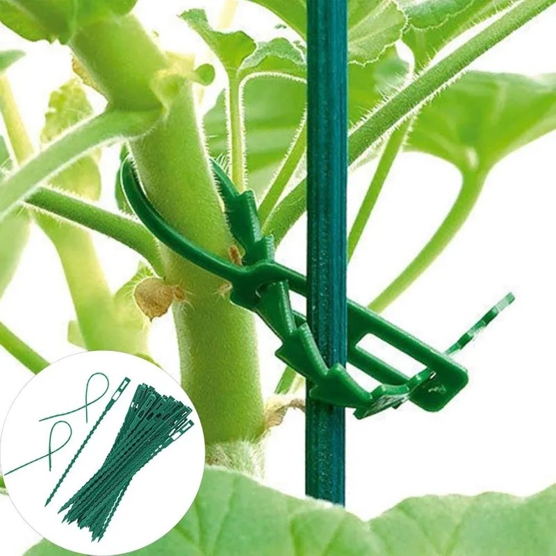 สายรัดต้นไม้แบบปรับได้สำหรับขา - Vine Climbing Plastic บทวิจารณ์และราคา