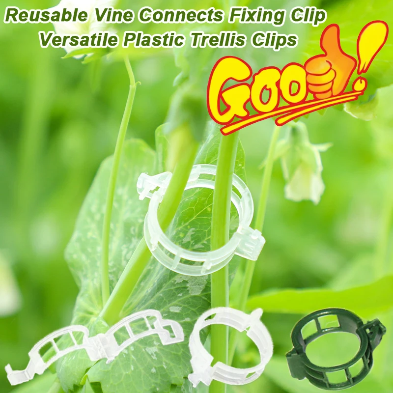 เถาแบบใช้ซ้ําได้เชื่อมต่อคลิปย - Vine Climbing Plastic บทวิจารณ์และราคา