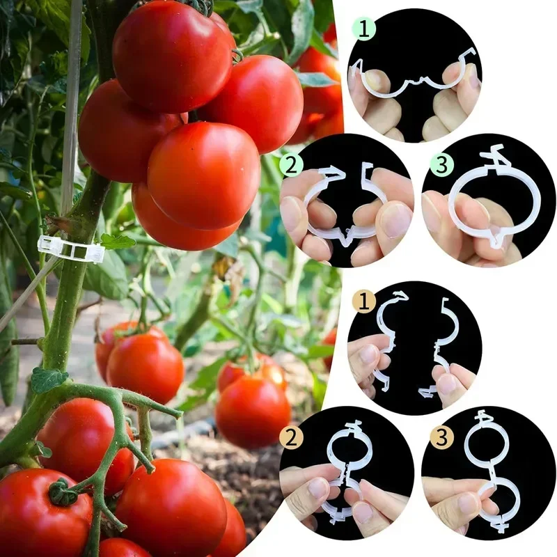 เถาแบบใช้ซ้ําได้เชื่อมต่อคลิปย - Vine Climbing Plastic บทวิจารณ์และราคา