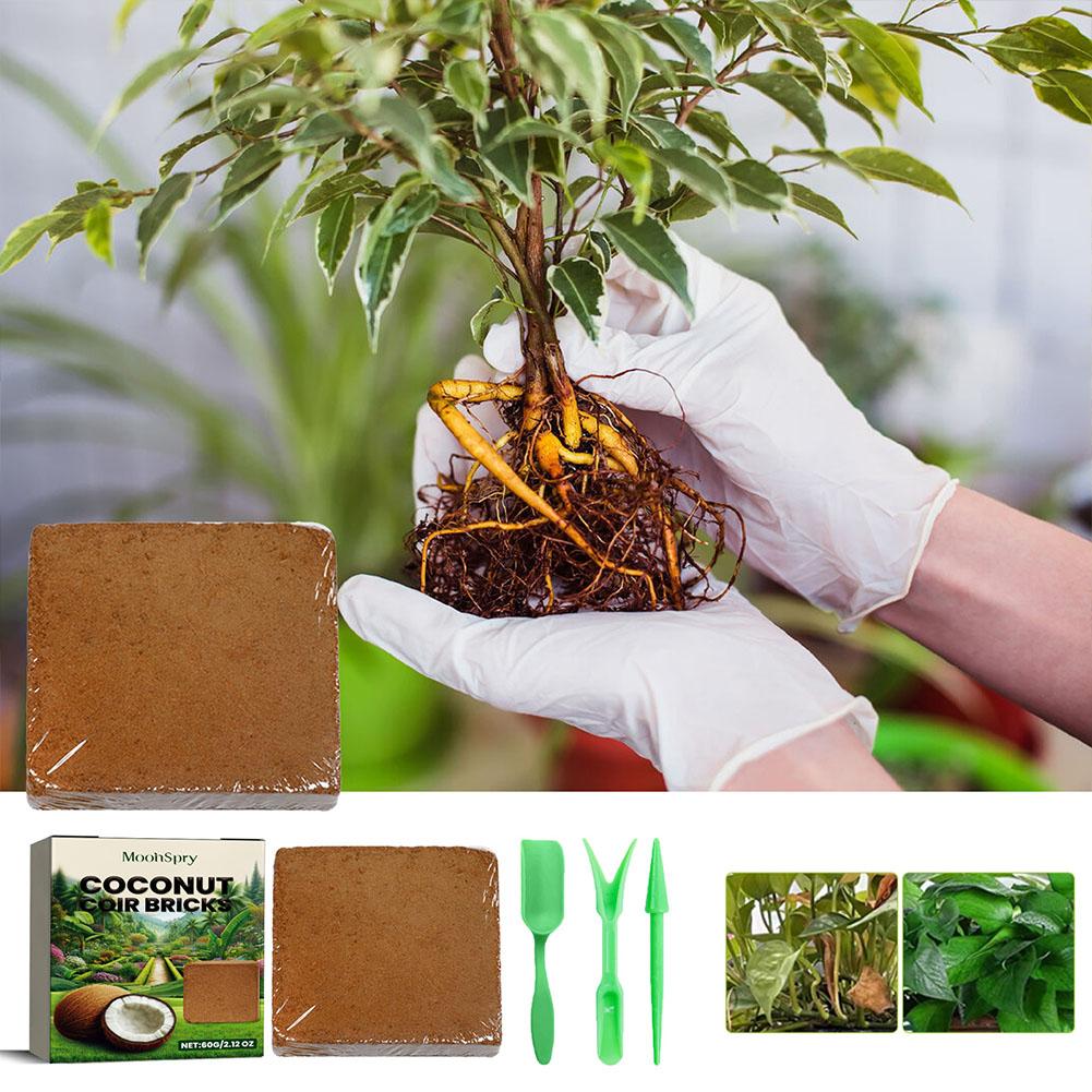 อิฐใยมะพร้าว - วัสดุปลูกพืชออร - Substrate Coconut Fiber บทวิจารณ์และราคา