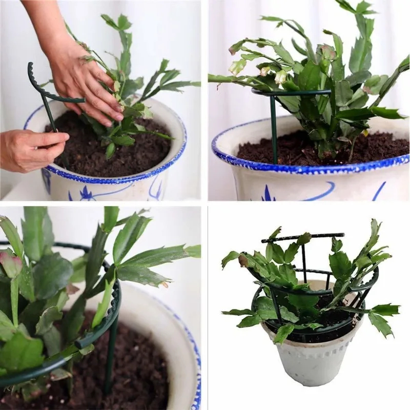 ชุดโครงพลาสติกสำหรับพยุงต้นไม้ - Vine Climbing Plastic บทวิจารณ์และราคา