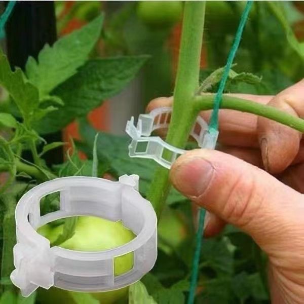 คลิปพลาสติกสำหรับยึดต้นไม้ 500 - Vine Climbing Plastic บทวิจารณ์และราคา
