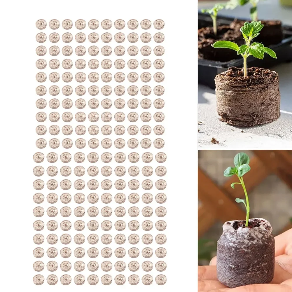 เม็ดมะพร้าวอัดเม็ด 100 ชิ้น สำ - Substrate Coconut Fiber บทวิจารณ์และราคา