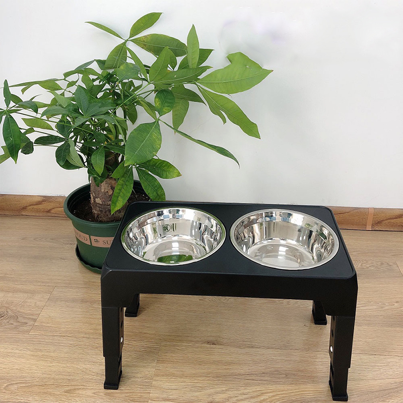 BOOTEELY ชามป้อนสุนัขแบบยกสูง  - Royal Canin Food Medium บทวิจารณ์และราคา