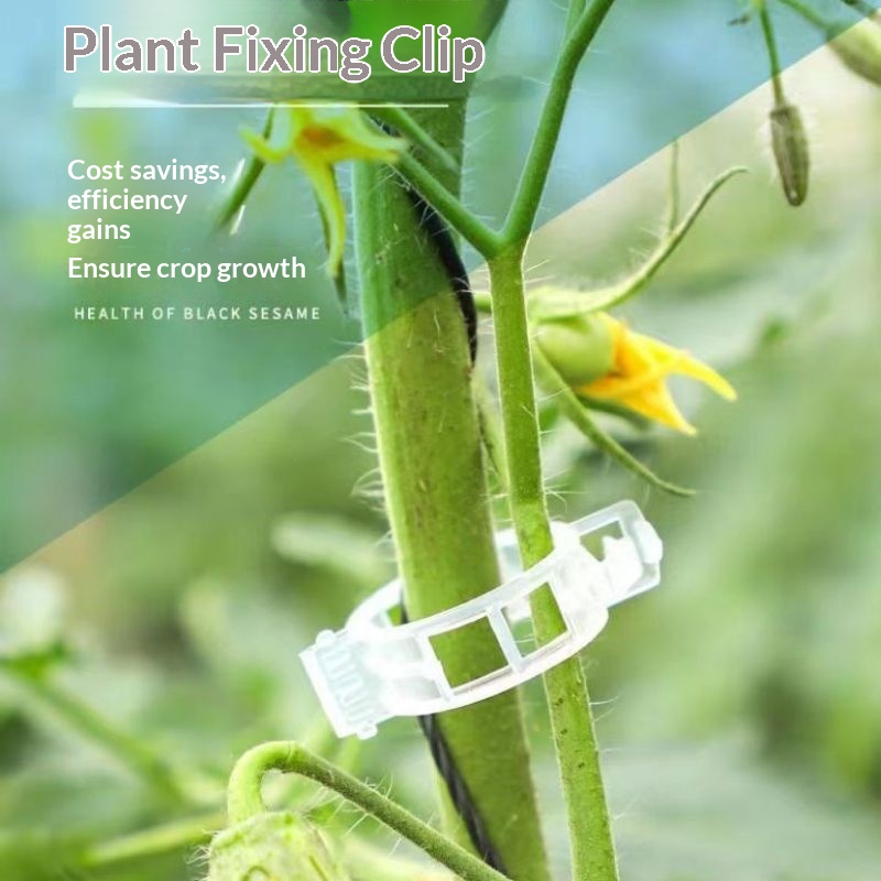 คลิปพลาสติกสำหรับยึดต้นไม้ ใช้ - Vine Climbing Plastic บทวิจารณ์และราคา