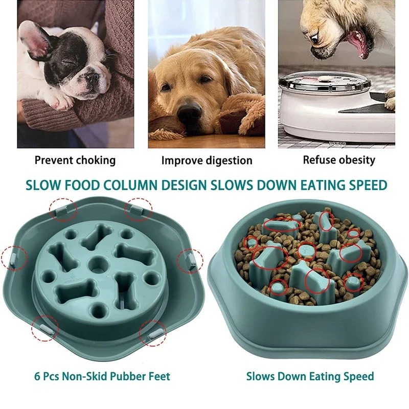 ชามอาหารสุนัขแบบป้อนช้า 1 ชิ้น - Royal Canin Food Medium บทวิจารณ์และราคา